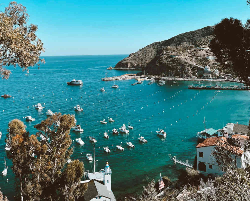 Catalina Island