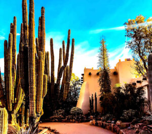 Read more about the article 25 Things to Do in Phoenix with Kids