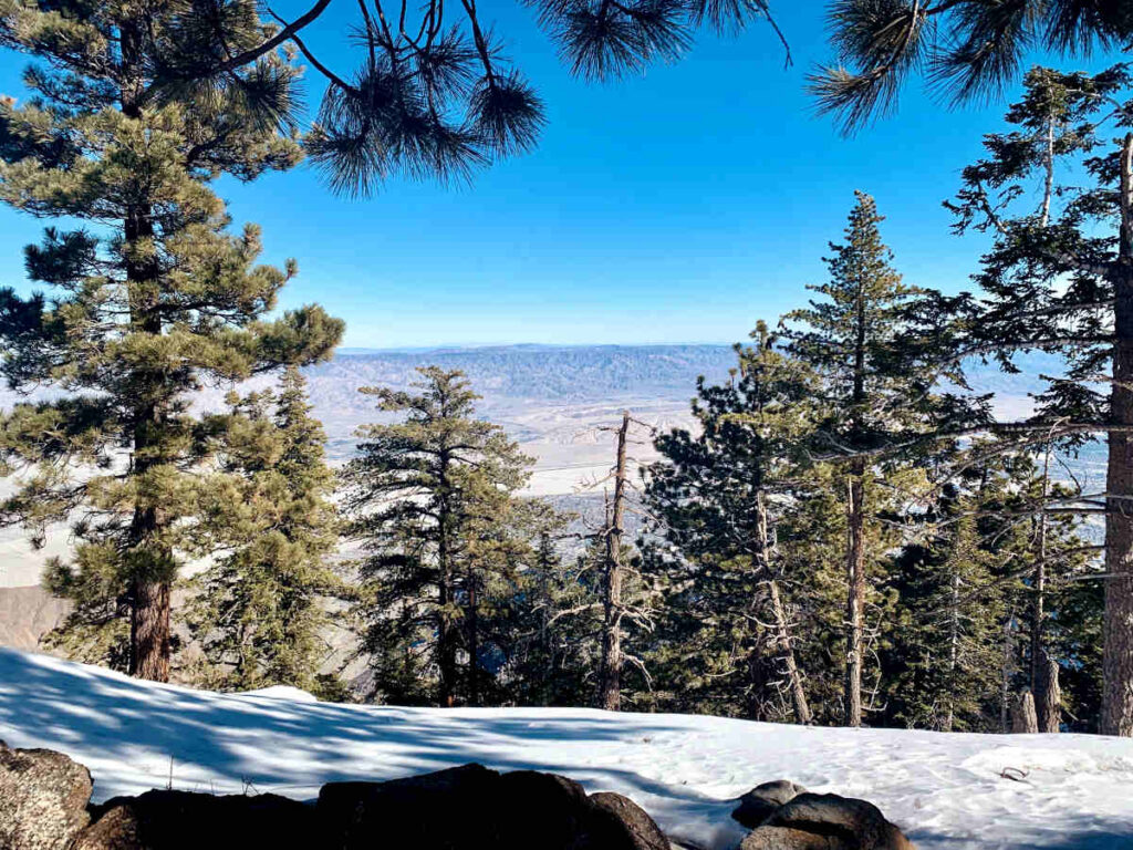 mount-san-jacinto