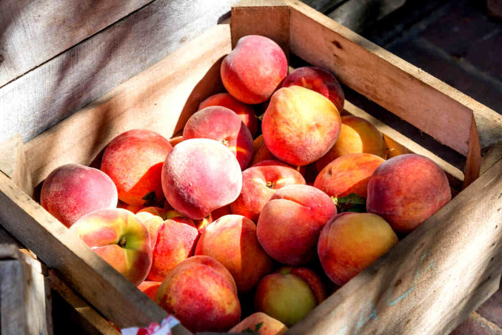 peaches-in-crate