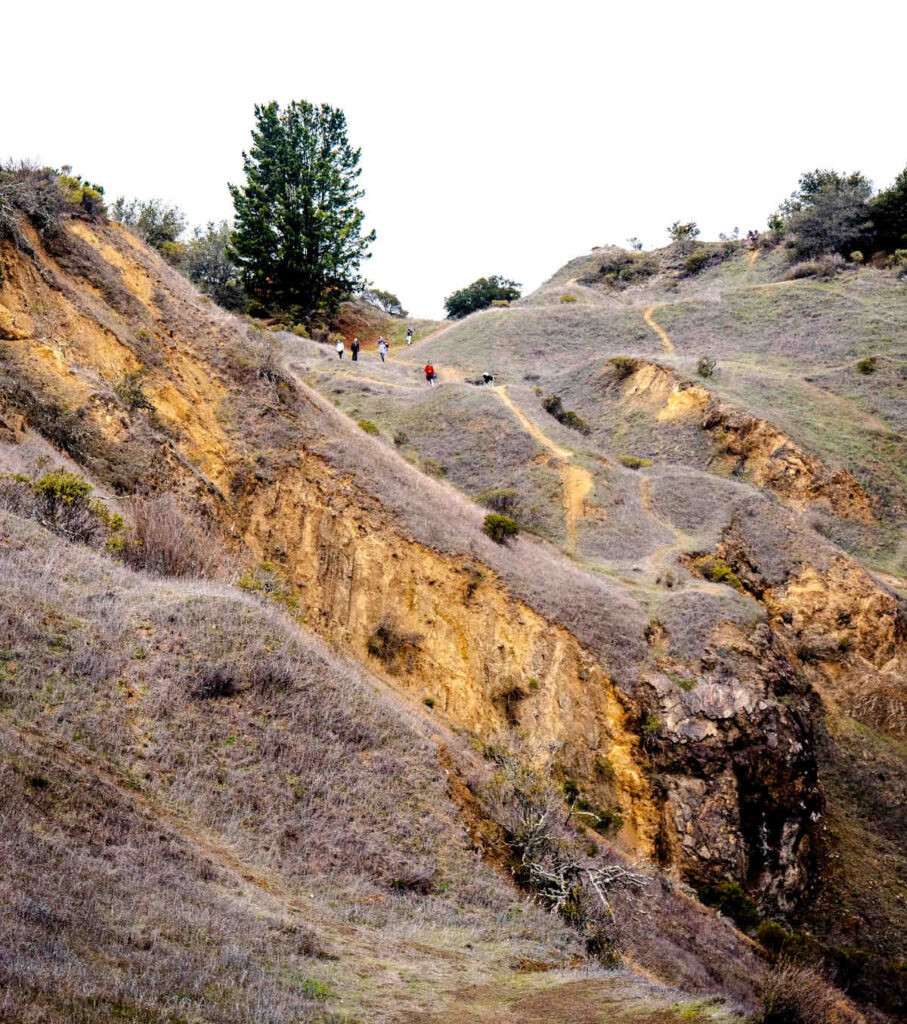 sibley-volcanic-regional-preserve