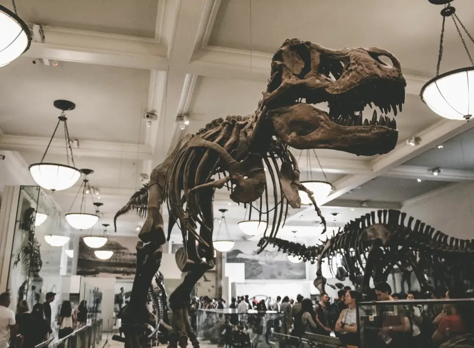 American Museum of Natural History