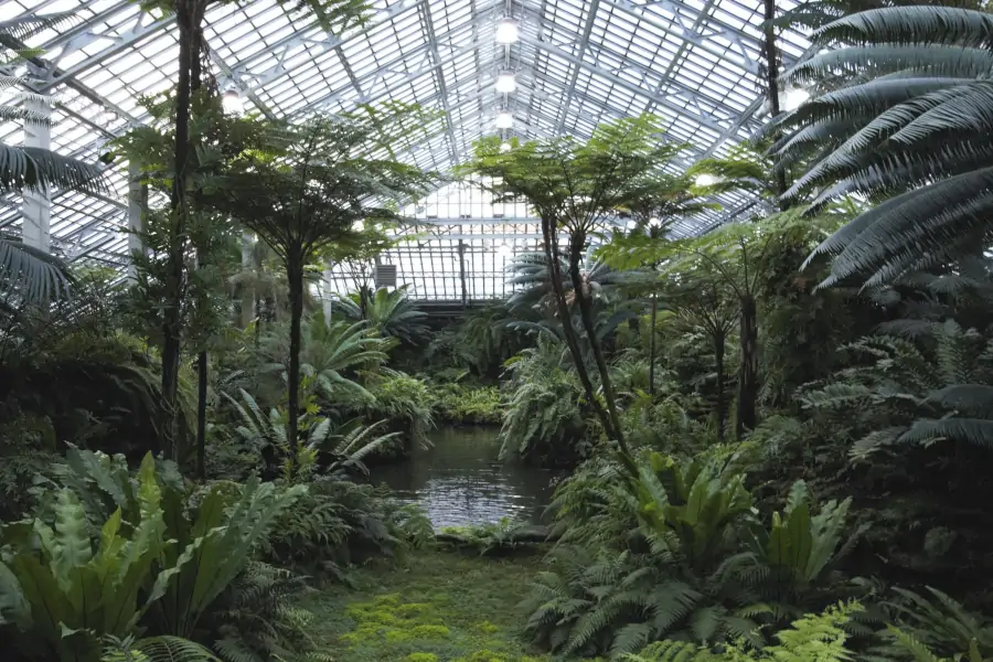 Garfield Park Conservatory