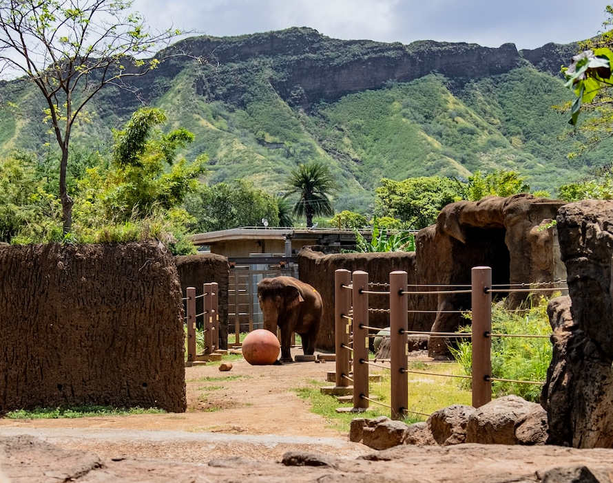 Honolulu Zoo