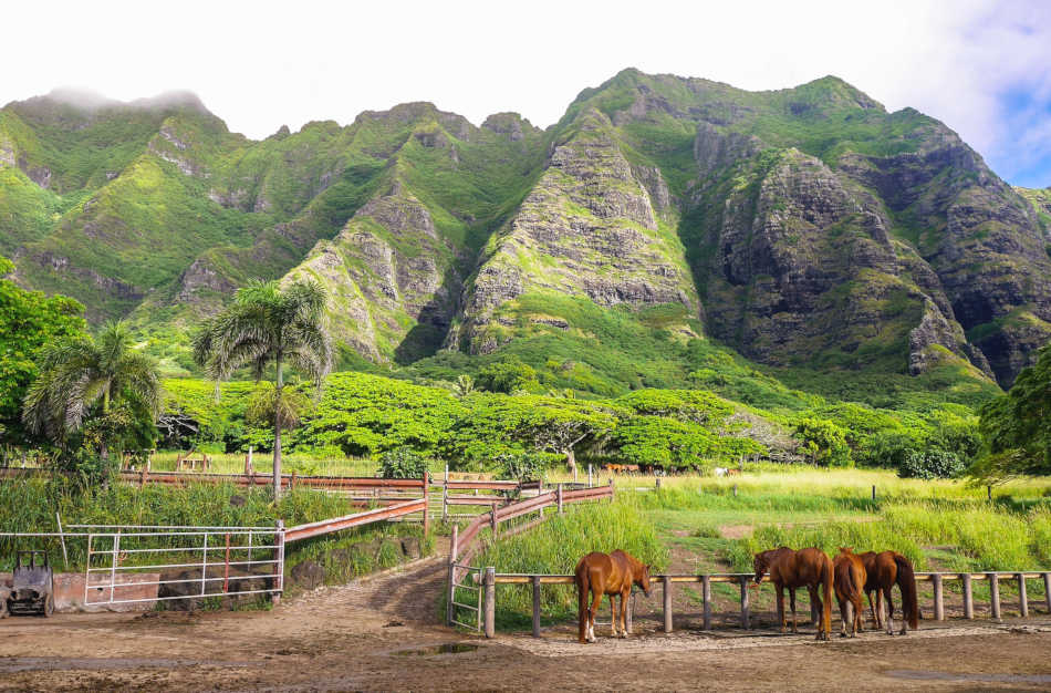 Kualoa Ranch