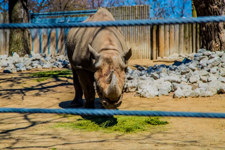 Lincoln Park Zoo