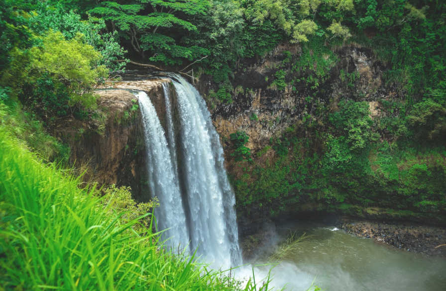 Waimea Falls